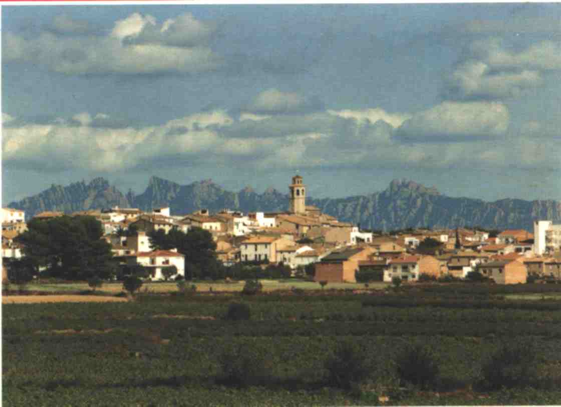 LA GRANADA ALT PENEDES la granada alt penedes: